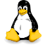 For Linux